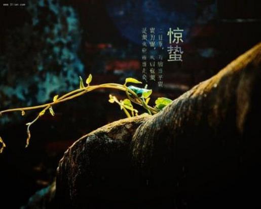 生产实习心得体会