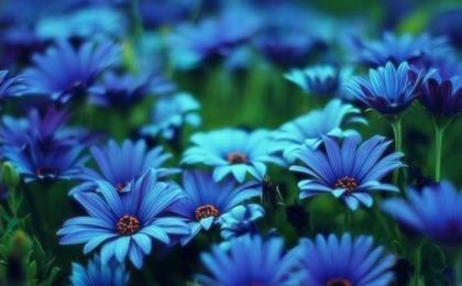 关于垃圾分类的横幅标语